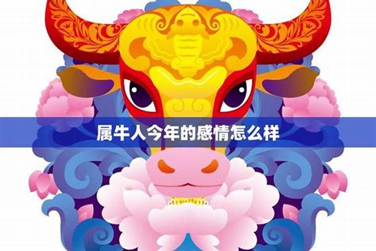 1987年属兔2025年的运势及运程如何