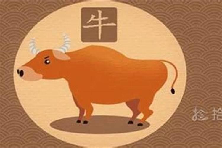 属牛的几月出生最好属牛人几月出生命最好