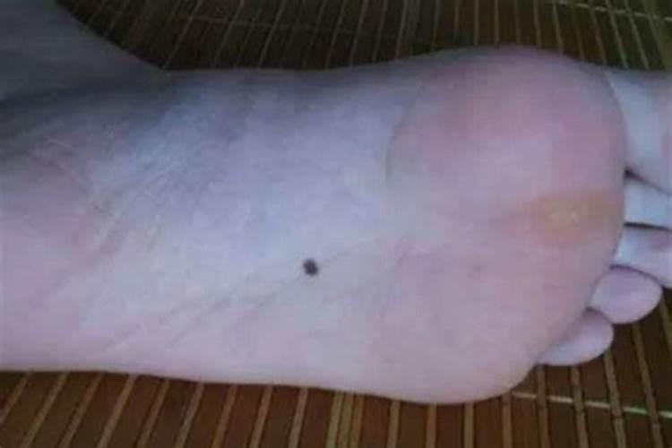 属羊犯太岁佩戴什么生肖羊佩戴什么可以辟邪