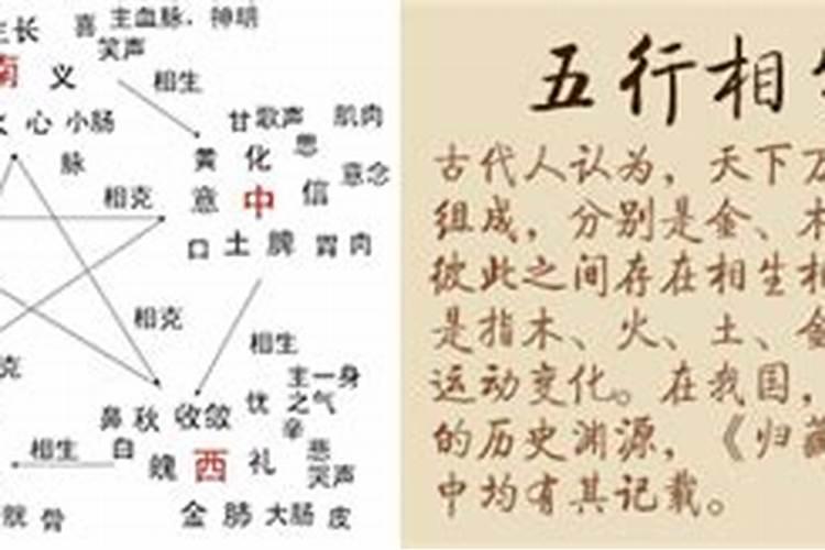 一字马和八字马哪个难