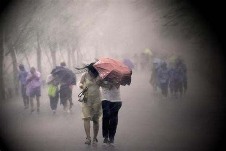 梦见出门外面刮风下雨的预兆