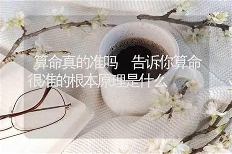 几月蛇命苦 属蛇人最苦命的出生日？