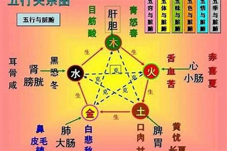 男木女土的婚姻 齐心协力亲密无间