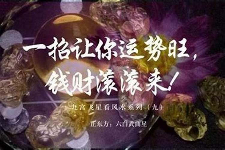 1985年属牛的财运如何2024 85年牛大器晚成