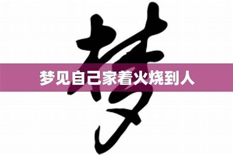 82年女狗2025农历年运势及运程每月运程