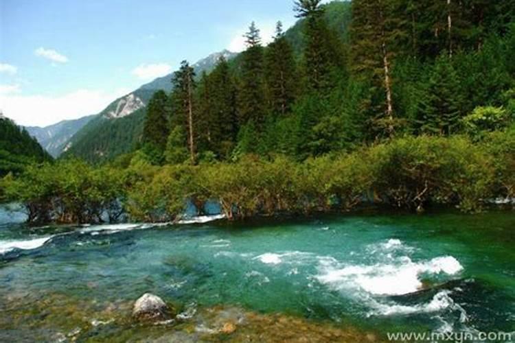 梦见大河涨大水了的预兆