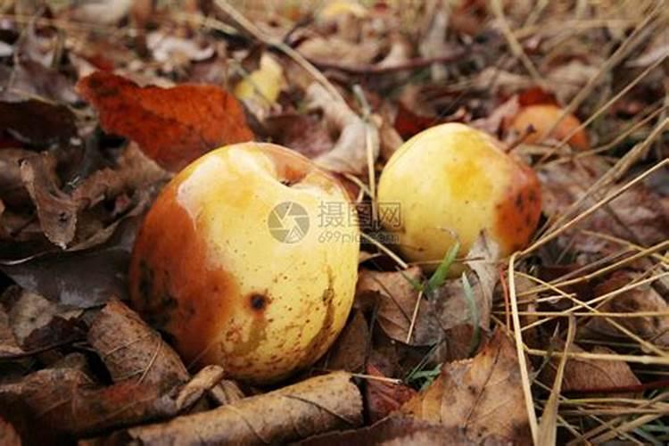 天门山景区游客暴力采摘果子,对这种不文明旅游你是怎样的态度？百度...