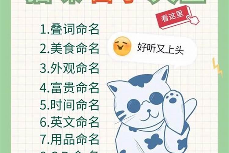十二生的来历是什么？