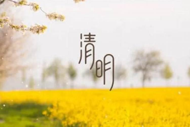 农历清明节前的四个节气依次是？