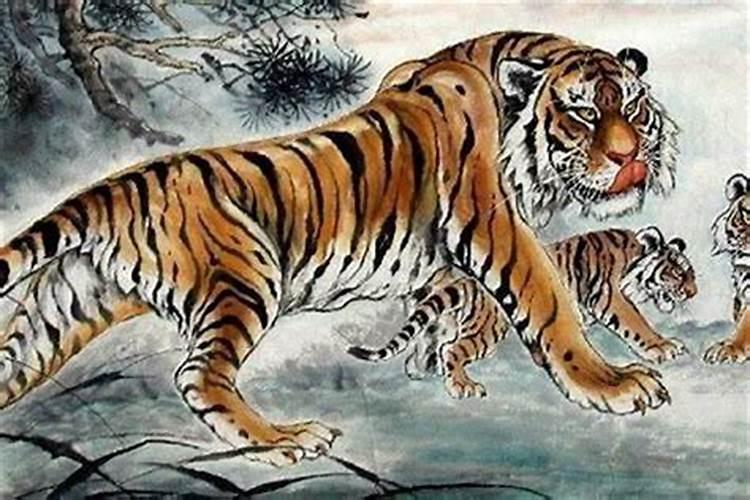 属猪的人犯太岁一览表,属猪人犯太岁年份