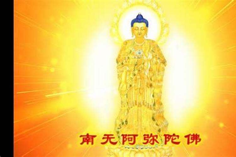 女人梦见牛是什么预兆？