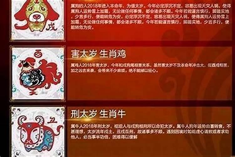 79年属羊女在2025年的运势和财运