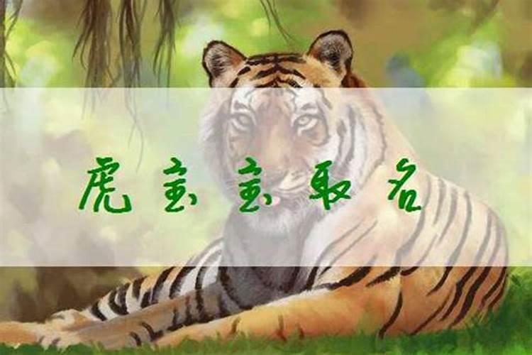 我想算算我的婚姻,我想算算 我的命好不好 我的婚姻怎么样？