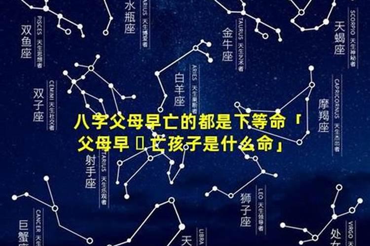 2025后九运最好生肖