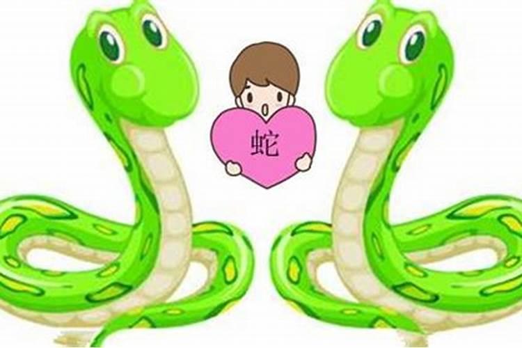 龙与蛇的属相,男蛇女龙属相合吗