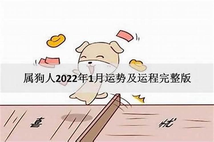 75年的兔男和70年的狗女相配吗