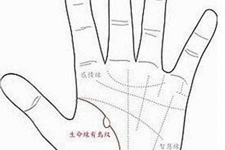 梦见和老婆闹别扭的预兆