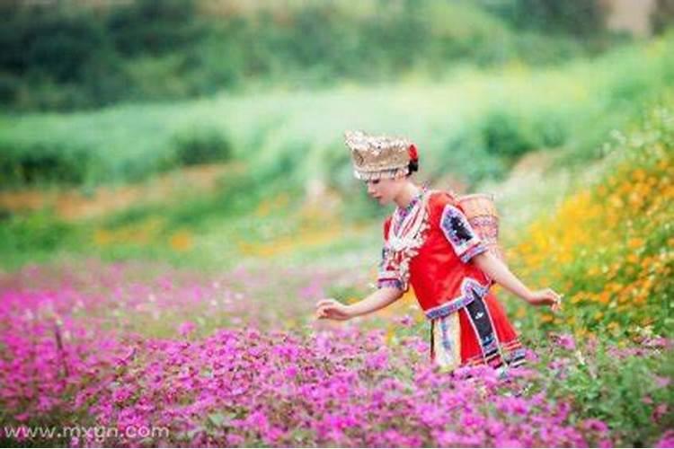 梦见采花是什么意思 女人梦见采花是什么意思