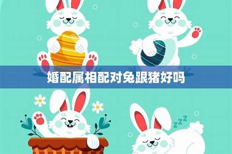 属羊人2025年全年运势详解每月