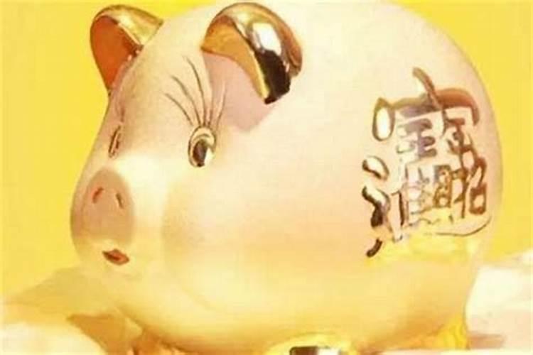 为什么七月的猪是犯月 属猪几月是犯月
