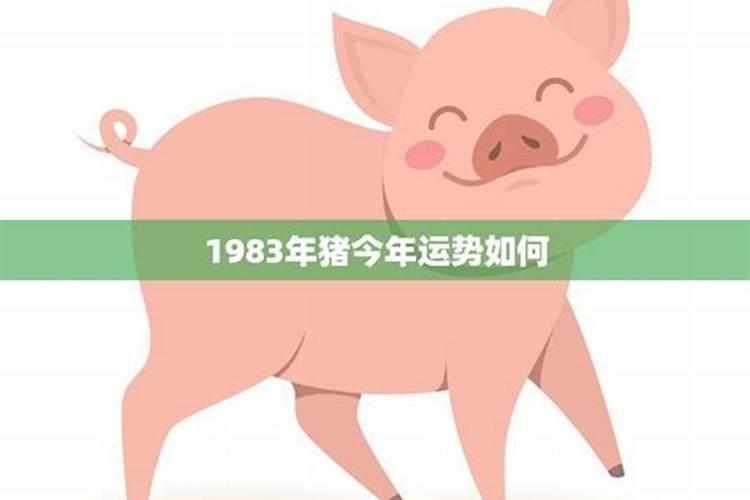 1983年属猪2025年运势及运程