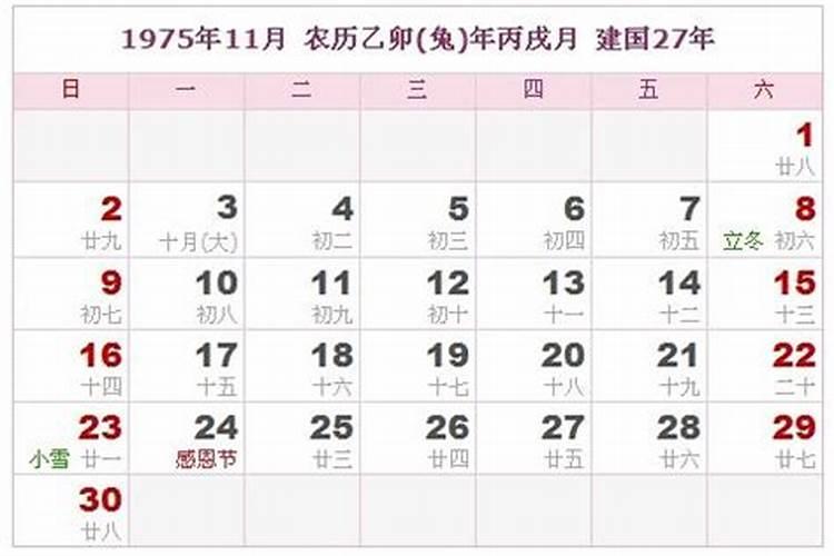 1975年农历九月九日凌晨4时出生的人是什么命？