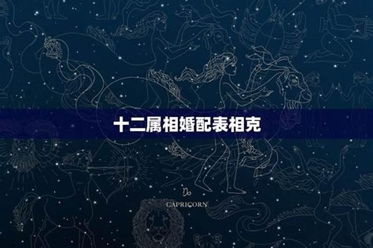 十二生肖婚姻最佳搭配 十二生肖最佳婚配表