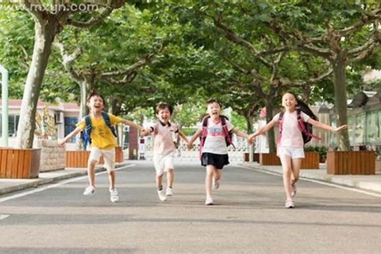 梦见上学总学不会很害怕的预兆