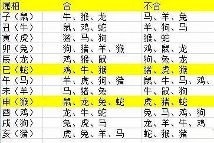 兔和鸡怎么化解相冲最有效