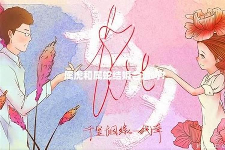 98年属虎婚配蛇合适吗年属虎和属蛇的配吗