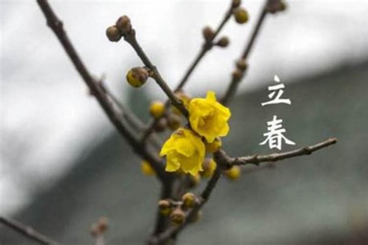 立春是哪天2024年立春在春节前和春节后有什么说法