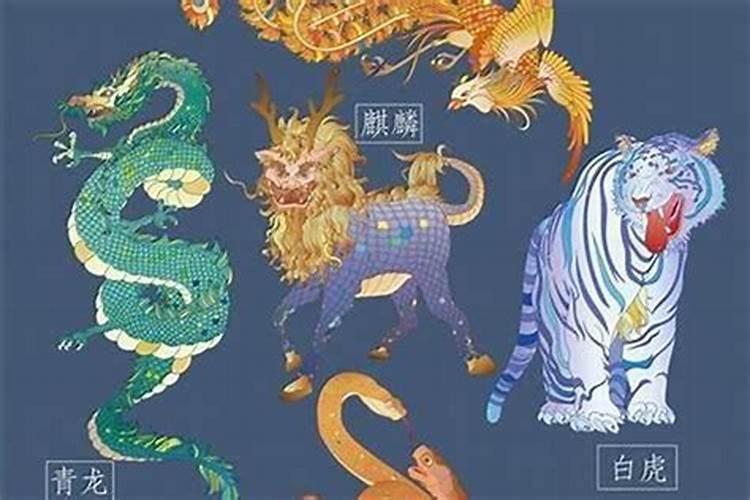 对女性婚姻不利的风水