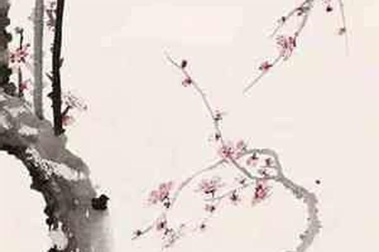 正月初四出生的女孩什么命安富尊荣发家致富