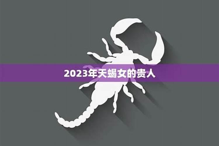 天蝎座2025年的全年运势