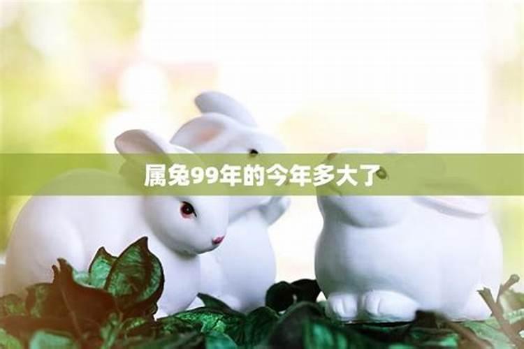 99年女兔2025年运势