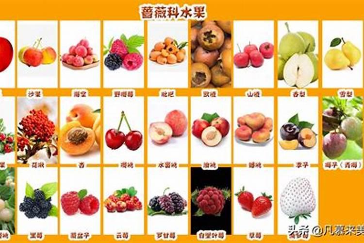 8月15供奉需要几种水果