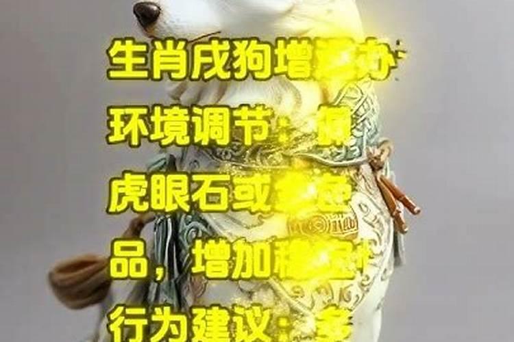 1982年的狗2025年农历4月12日吉时如何