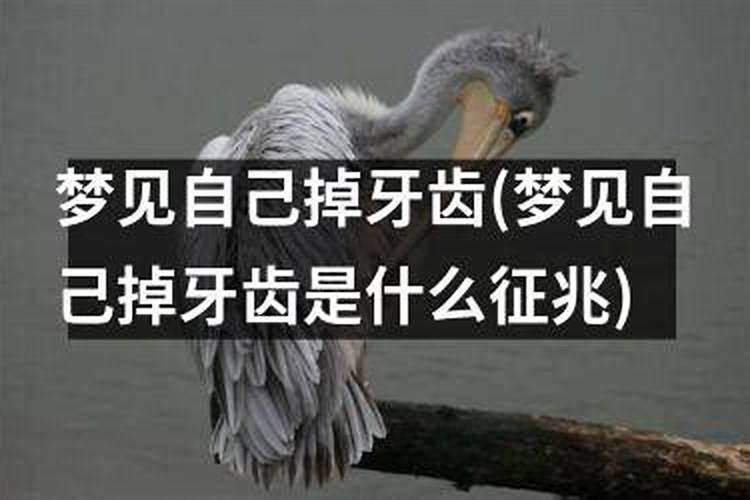 梦到一次性掉了好多牙