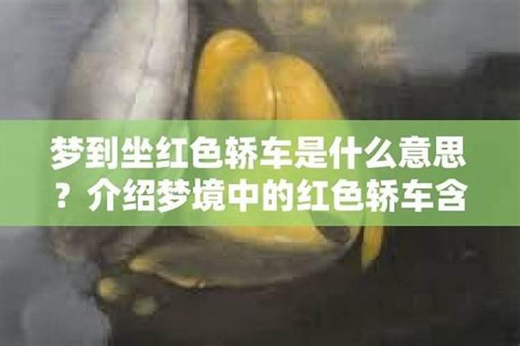 属狗和属龙的婚姻怎么样 龙和狗结婚能过到老吗