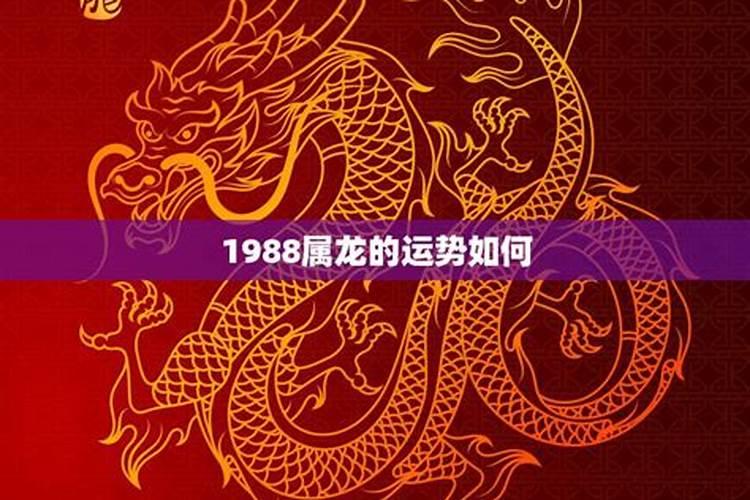 88年龙女2025年的运势