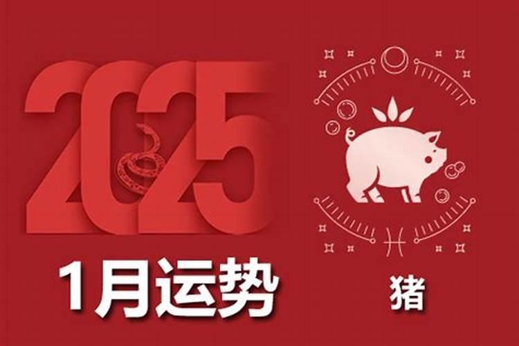 1969年属鸡的五行属性是什么2024 性格特点和优缺点分析