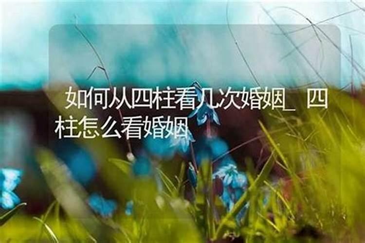 2025年蛇年犯太岁属相有哪几个