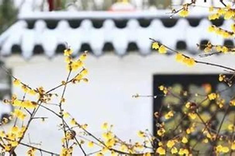 腊月习俗有哪些