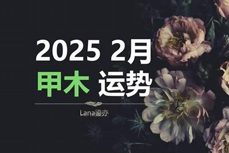 八字身弱甲木女有什么特点