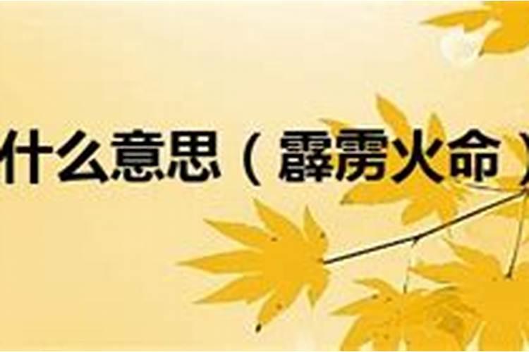 杨柳木命基本信息