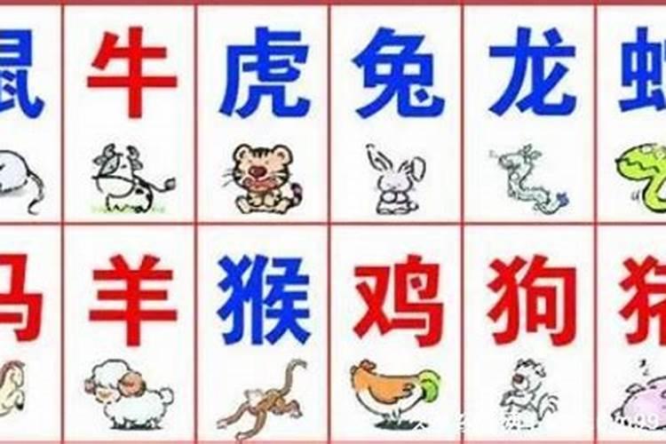 婚配主要是看年份还是时辰,属相配偶是看年号还是看生的时候