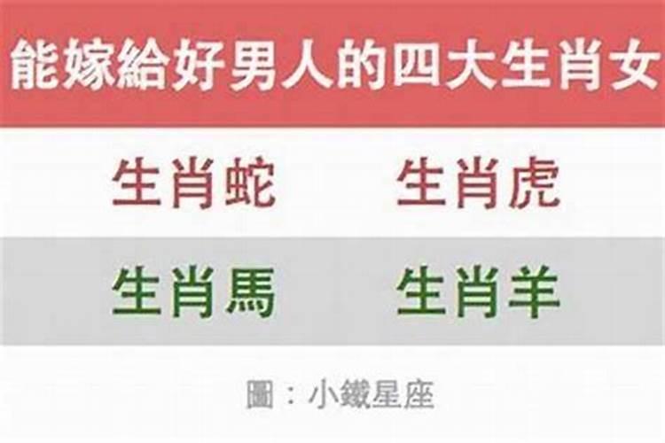 论命取向看什么书？
