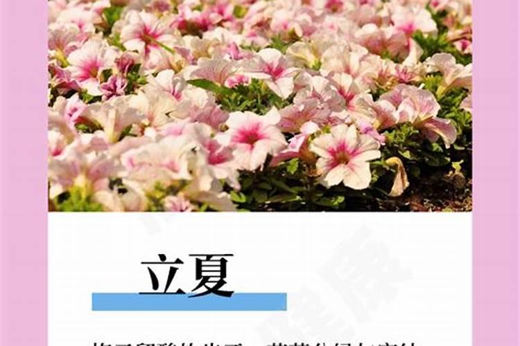 76年阳历3月15阴历是多少