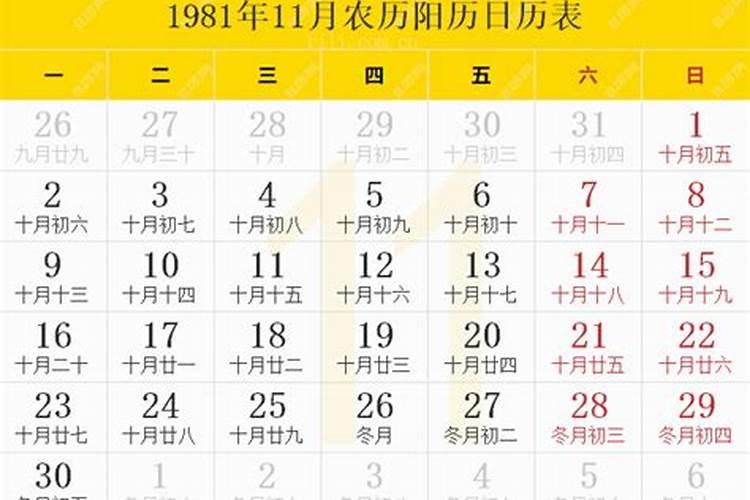 属鸡1981年,12月25农历出生,丑时,命运怎样