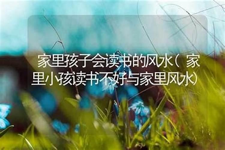 属猴好运和倒霉的年份